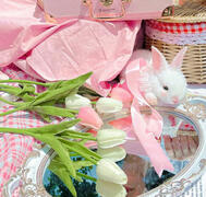 regulations • 5:01